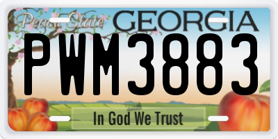 GA license plate PWM3883
