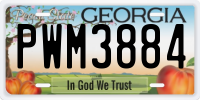 GA license plate PWM3884