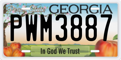 GA license plate PWM3887