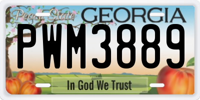 GA license plate PWM3889