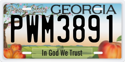 GA license plate PWM3891