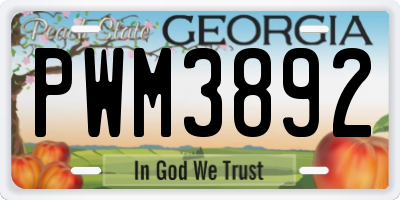 GA license plate PWM3892