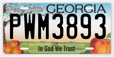 GA license plate PWM3893