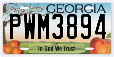 GA license plate PWM3894