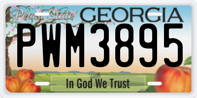 GA license plate PWM3895
