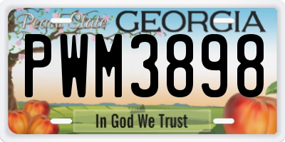 GA license plate PWM3898