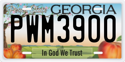 GA license plate PWM3900