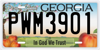 GA license plate PWM3901