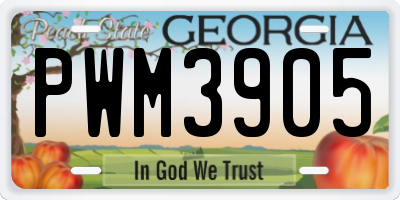 GA license plate PWM3905