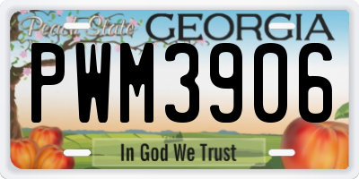GA license plate PWM3906