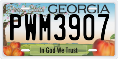 GA license plate PWM3907