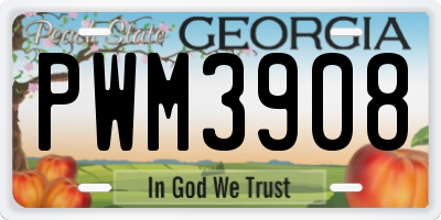 GA license plate PWM3908