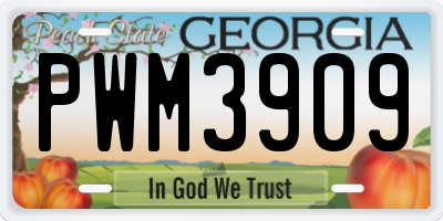 GA license plate PWM3909