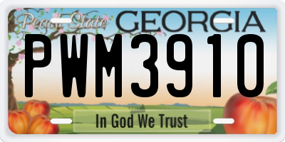 GA license plate PWM3910