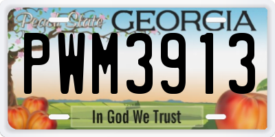 GA license plate PWM3913