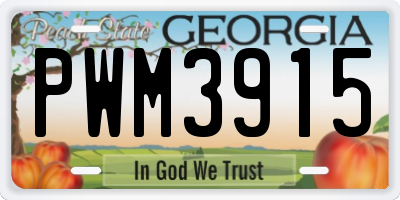 GA license plate PWM3915