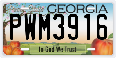 GA license plate PWM3916