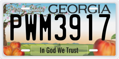 GA license plate PWM3917