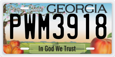 GA license plate PWM3918