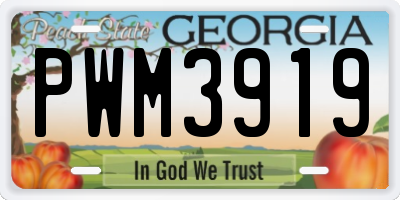 GA license plate PWM3919