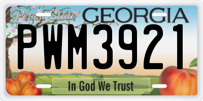 GA license plate PWM3921