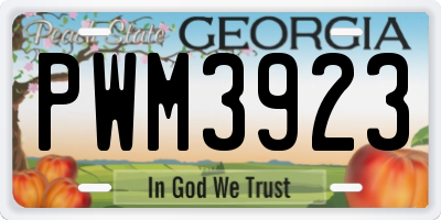 GA license plate PWM3923