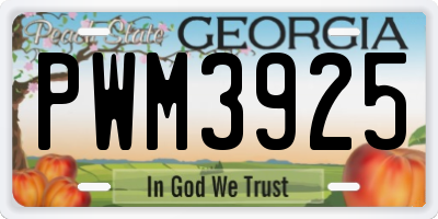 GA license plate PWM3925