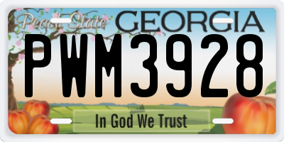 GA license plate PWM3928