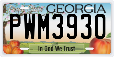 GA license plate PWM3930