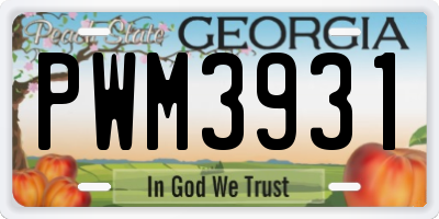 GA license plate PWM3931