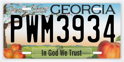 GA license plate PWM3934