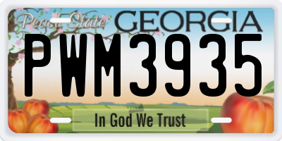 GA license plate PWM3935