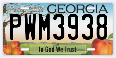 GA license plate PWM3938