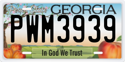 GA license plate PWM3939