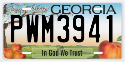 GA license plate PWM3941