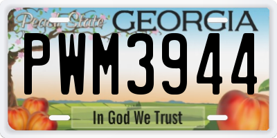 GA license plate PWM3944