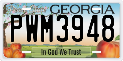 GA license plate PWM3948