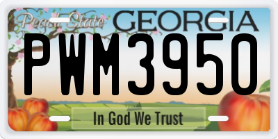 GA license plate PWM3950