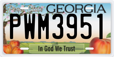 GA license plate PWM3951