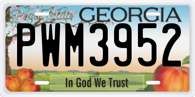 GA license plate PWM3952