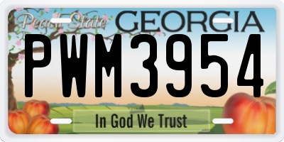 GA license plate PWM3954