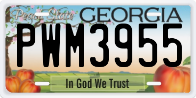 GA license plate PWM3955