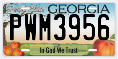 GA license plate PWM3956