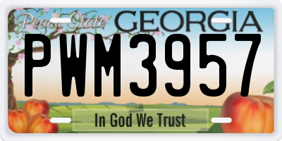 GA license plate PWM3957