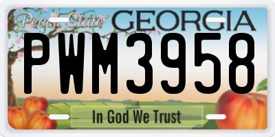 GA license plate PWM3958