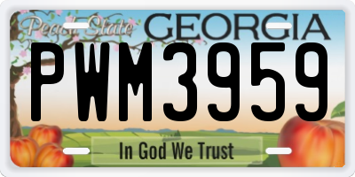 GA license plate PWM3959