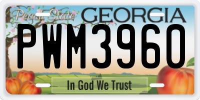 GA license plate PWM3960