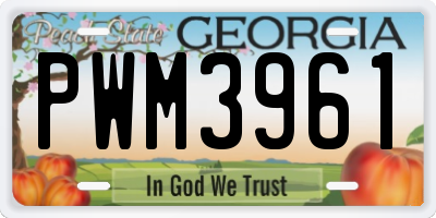 GA license plate PWM3961
