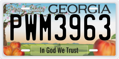 GA license plate PWM3963