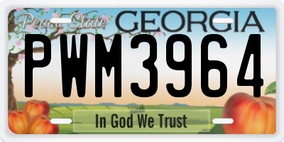 GA license plate PWM3964